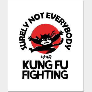 Surely Not Everybody Was Kung Fu Fighting Posters and Art